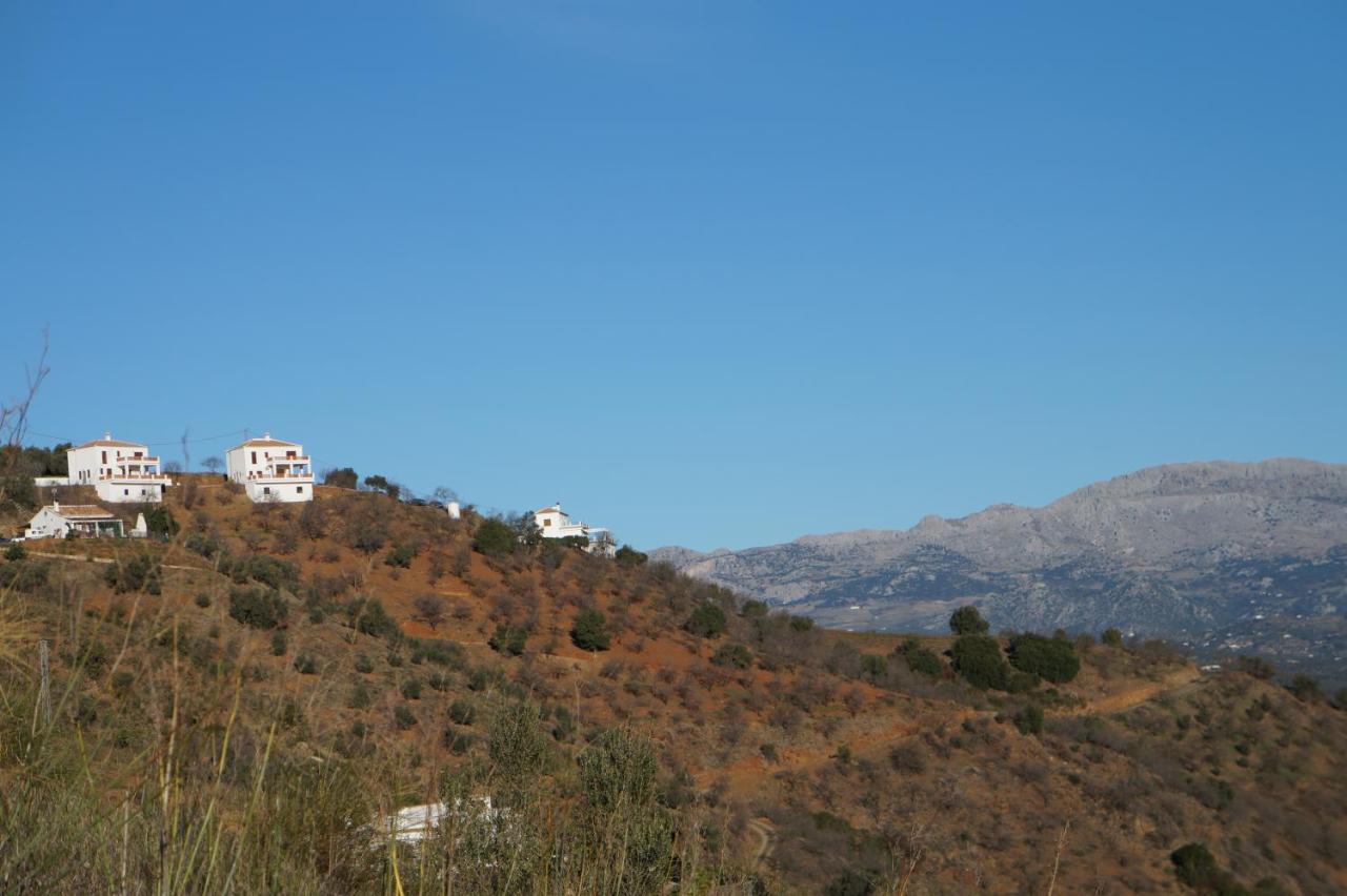 Vine Ridge Studio And Apartment Comares Exterior foto